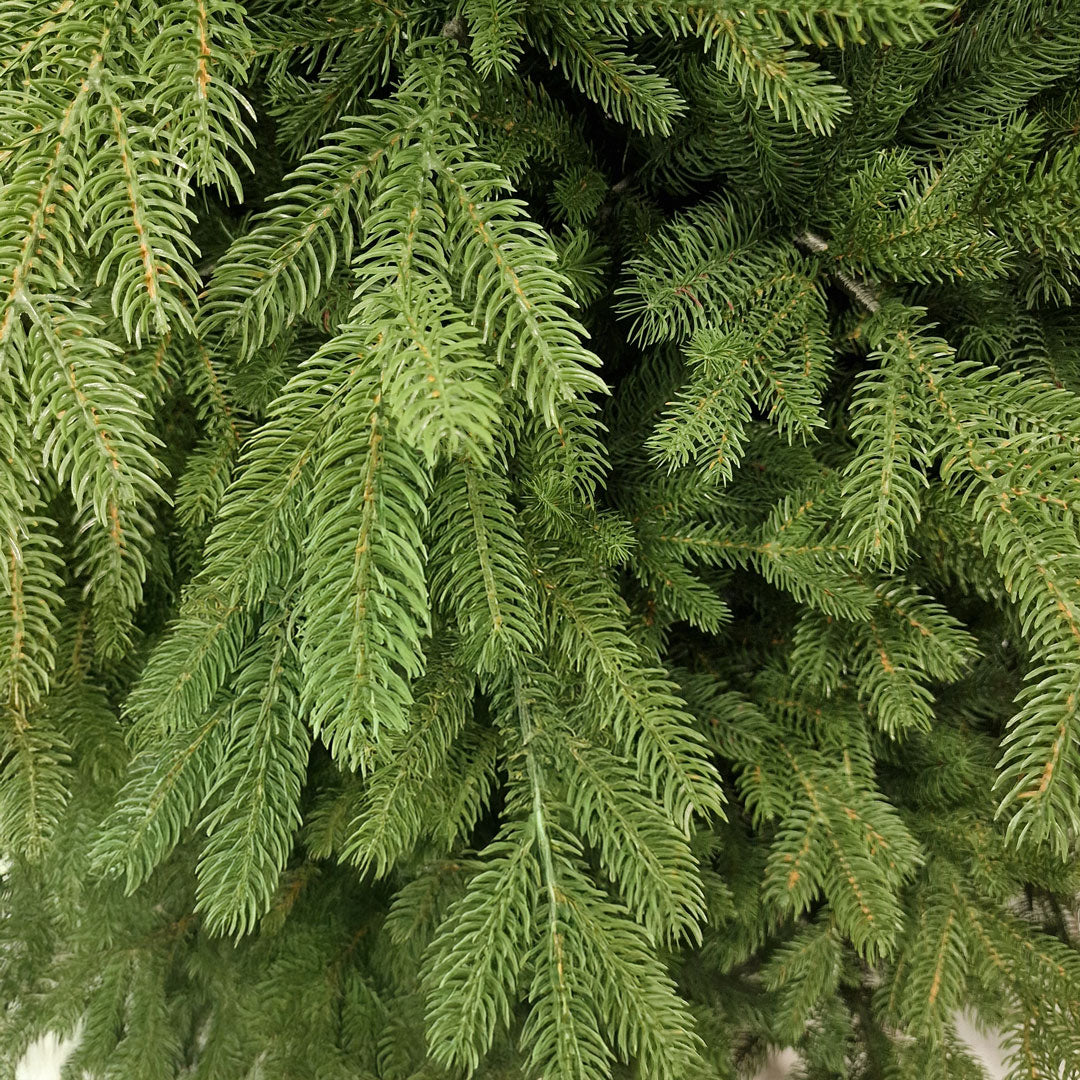 Brooklyn Christmas Tree 100% HIGH QUALITY SILICONE Various Sizes 180 / 210 / 240 CM Height