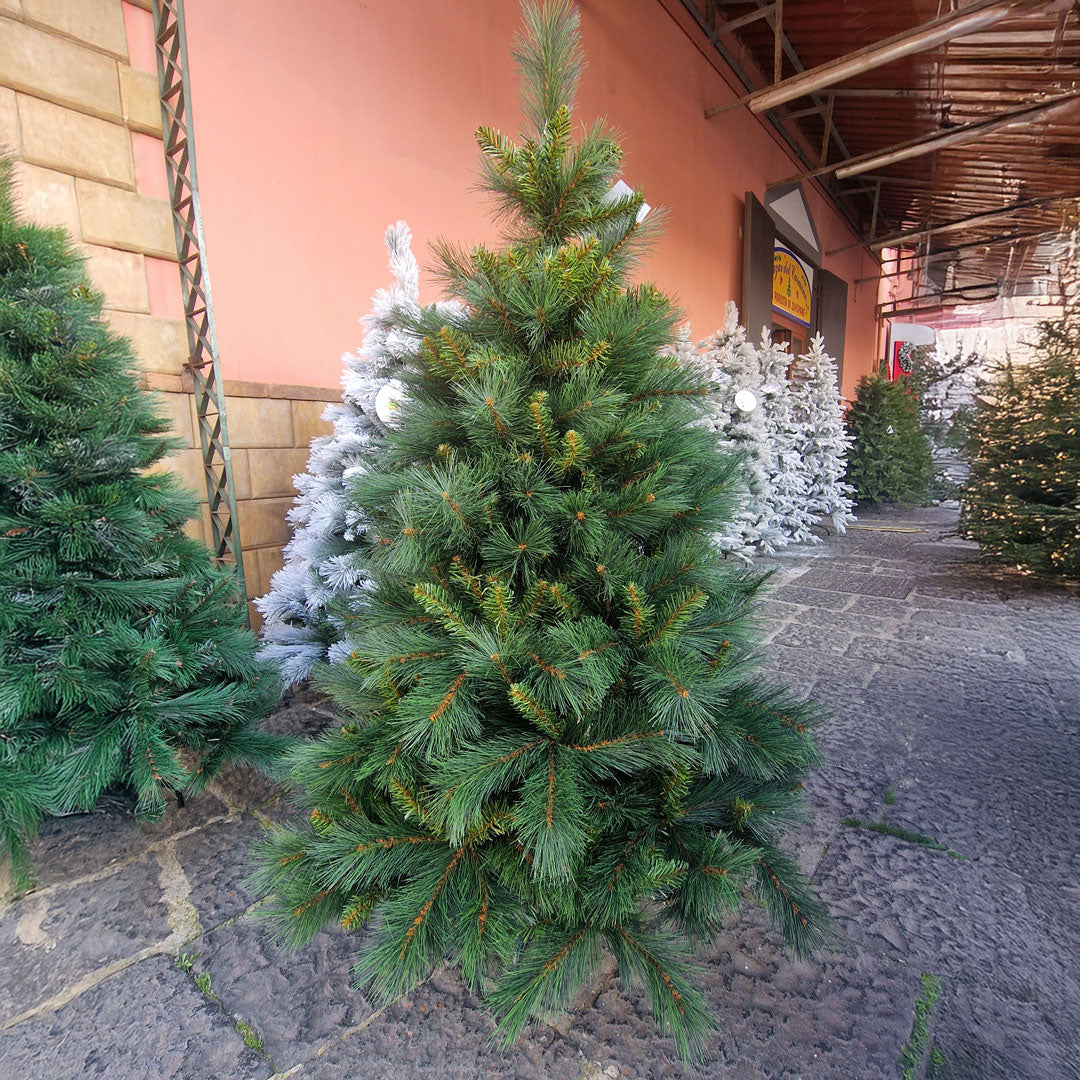 Clinton PVC Christmas Tree 150 Height