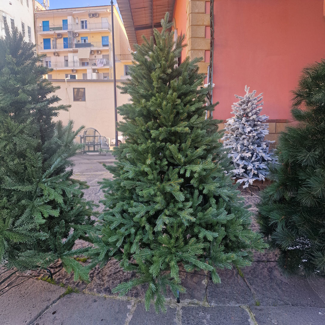 Katerine Christmas Tree 100% HIGH QUALITY SILICONE Various Sizes 150 / 180 / 210 / 240 CM Height