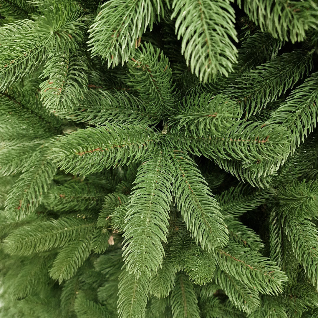 Bayum Largo Christmas Tree Various Sizes MIXED + PVC 70%+30%, 210 / 240 CM Height HIGH QUALITY
