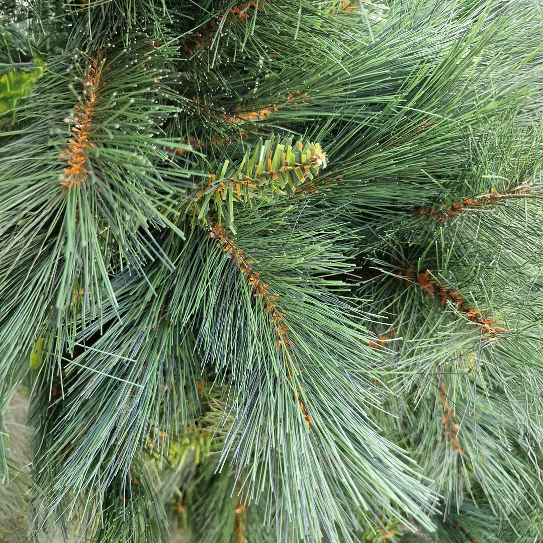 Clinton PVC Christmas Tree 150 Height