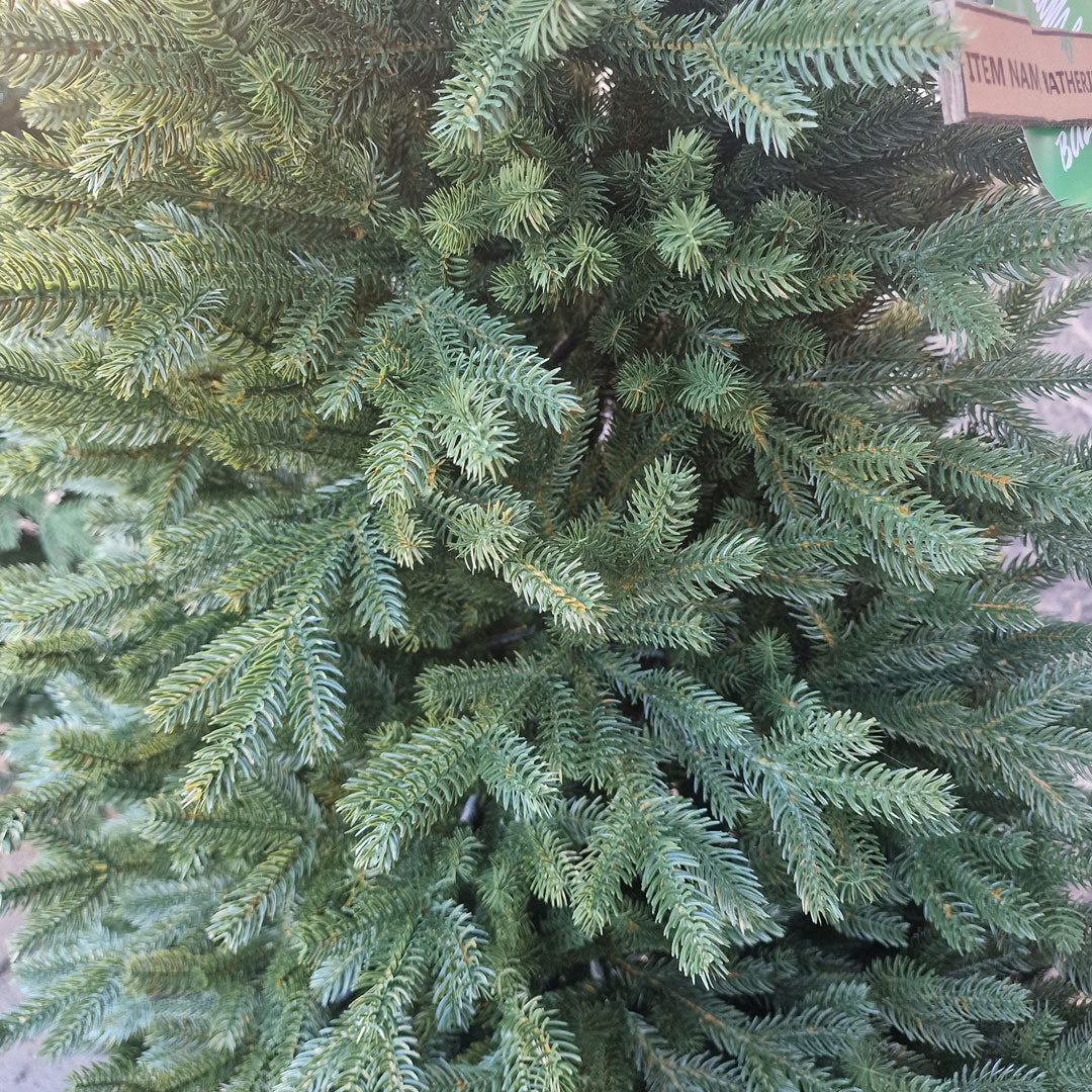 Katerine Christmas Tree 100% HIGH QUALITY SILICONE Various Sizes 150 / 180 / 210 / 240 CM Height