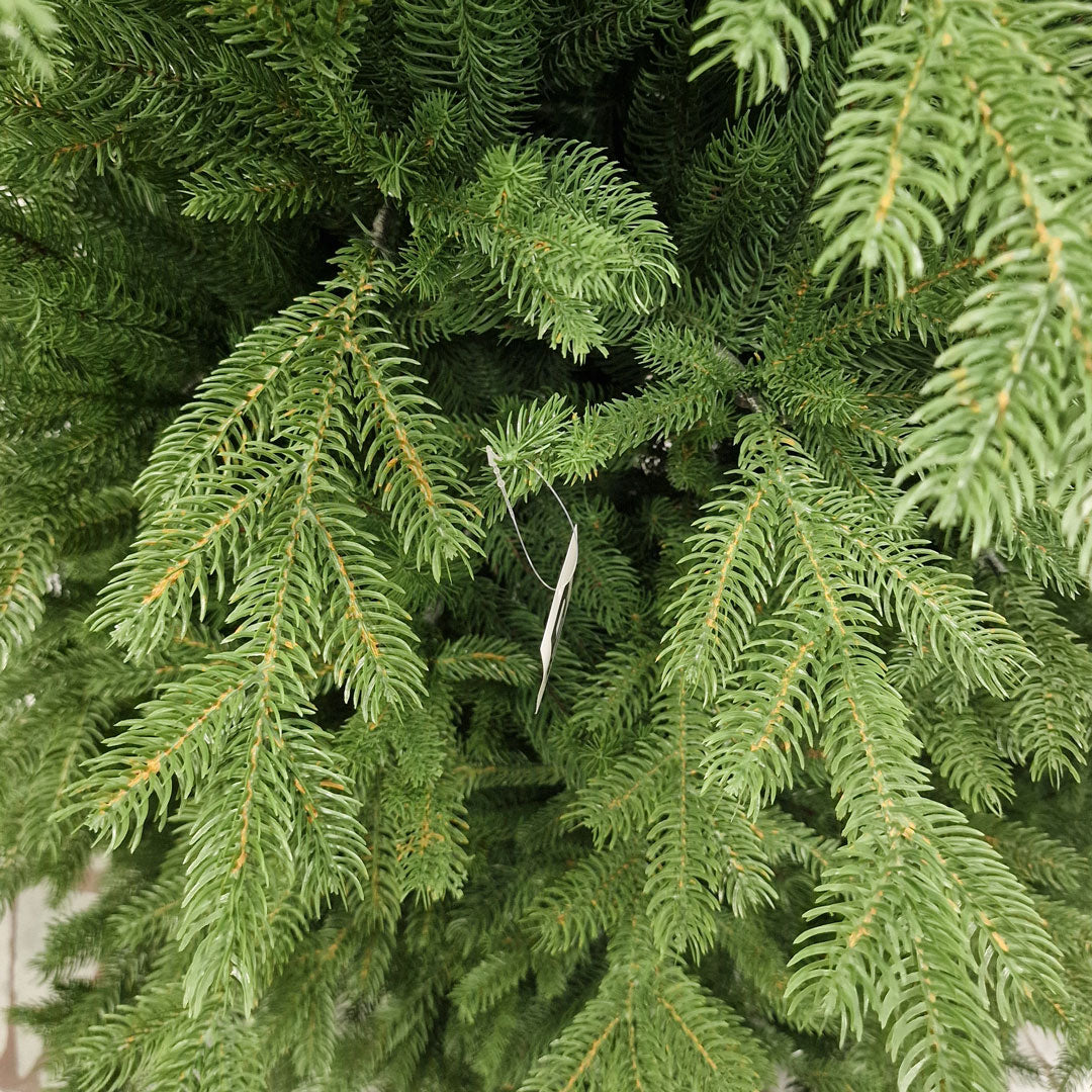 Brooklin Medium Slim Realistic Christmas Tree 100% HIGH QUALITY SILICONE, 210 / 240 CM Height