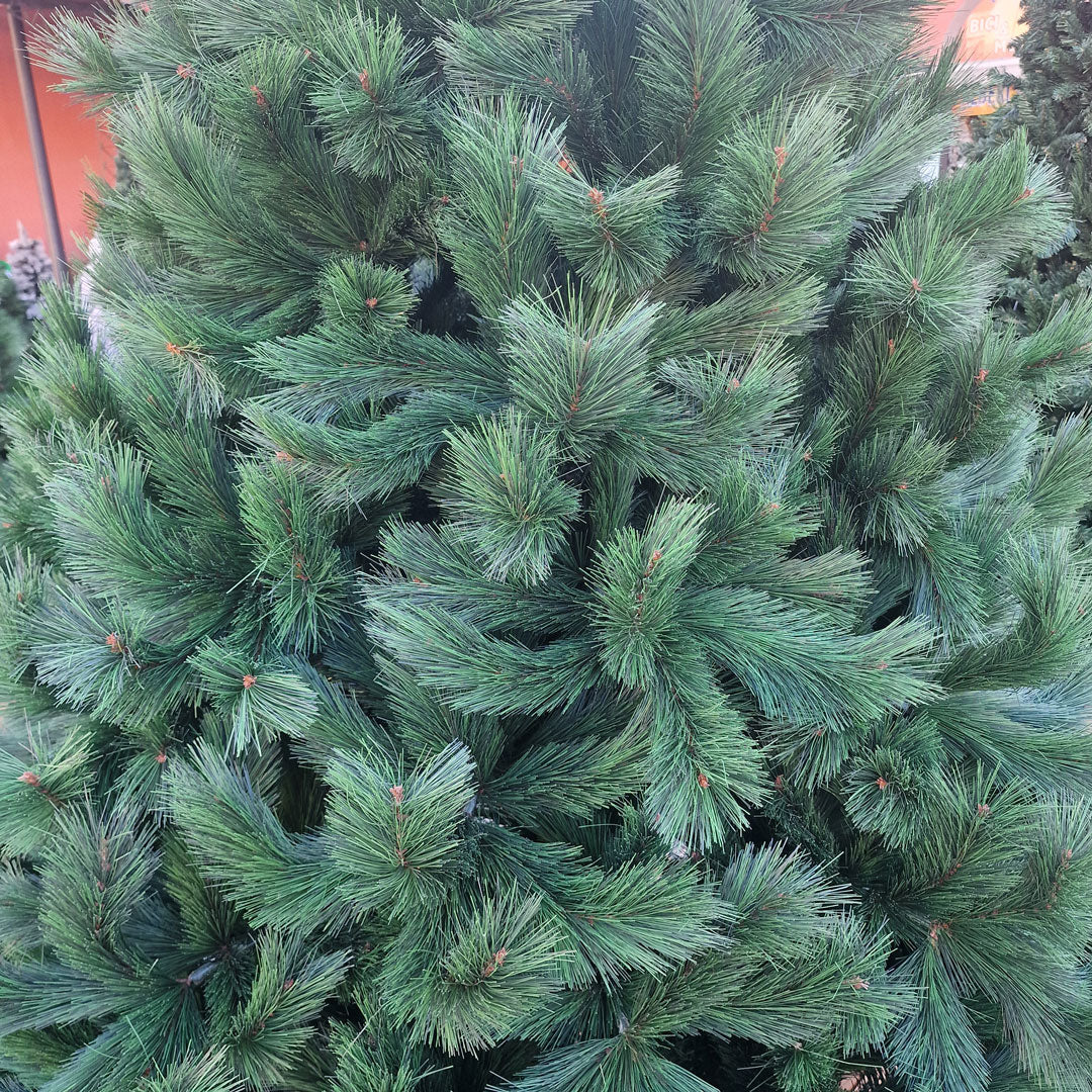 New Polska Albero di Natale PVC Alta Qualità 240 cm Altezza