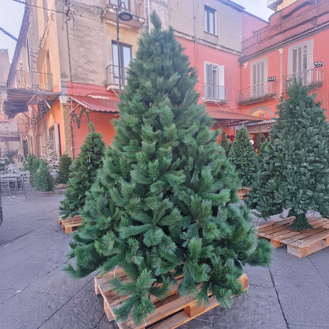 New Polska Albero di Natale PVC Alta Qualità 240 cm Altezza