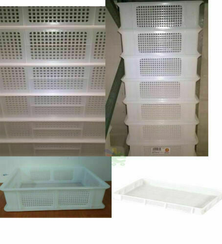 Cassetta Service Giganplast Forata 60x40x10h Contenitore Impasto Sovrapponibile