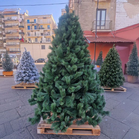 New Polska Albero di Natale PVC Alta Qualità 240 cm Altezza