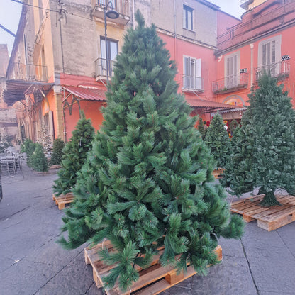 New Polska Christmas Tree PVC HIGH QUALITY 240 CM Height