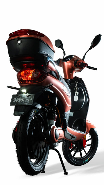 CITYALL V60 DURACEL Versione PREMIUM Scooter/Motorino Elettrico Luxury 1000W Omologato e Targabile 2 Posti con Batteria Litio 60V 31Ah – Ammortizzatori Posteriori a Gas, Autonomia fino a 60 Km, Bluetooth, NFC, Full Optional